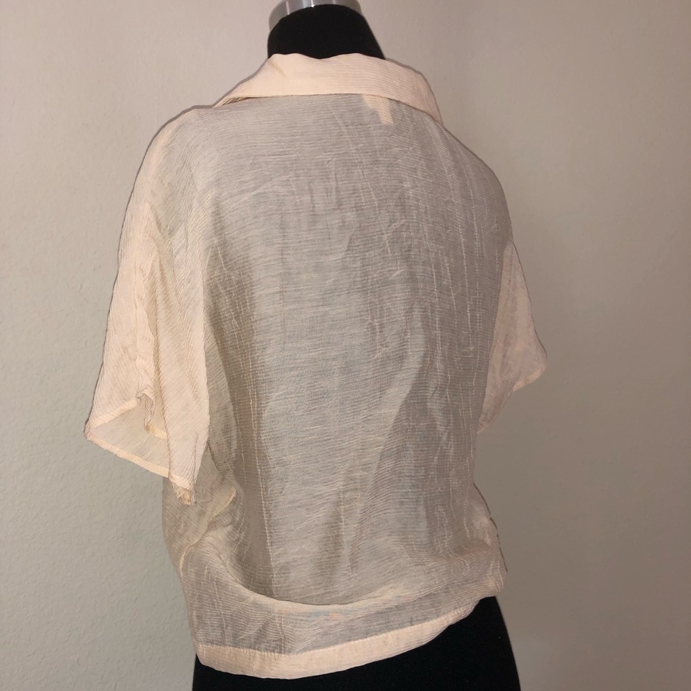 Button Down Sheer Top Beige Top - image 3